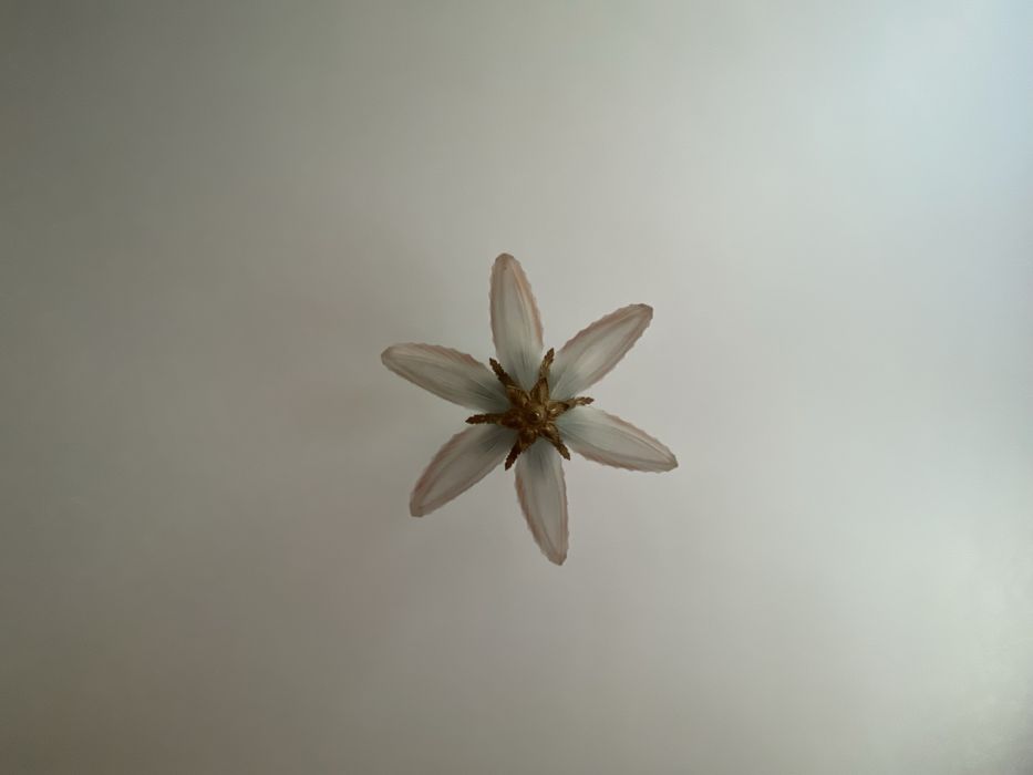 Candeeiros Sala / Quarto