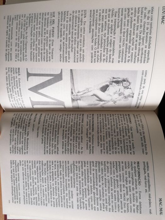 Livros Massagem Sensual, Dicionário do Amor