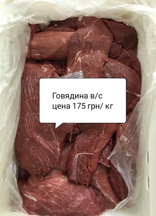 Мясо для собак  та інших тварин