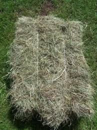 siano w kostce suche