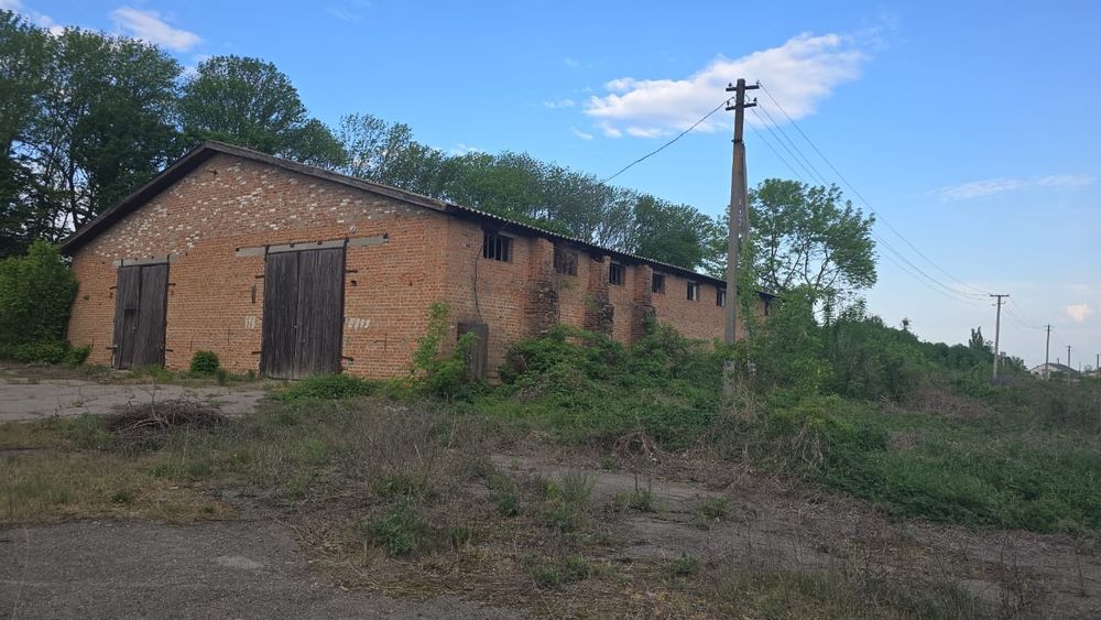 Ферма, фермерське господарство, фермерський комплекс