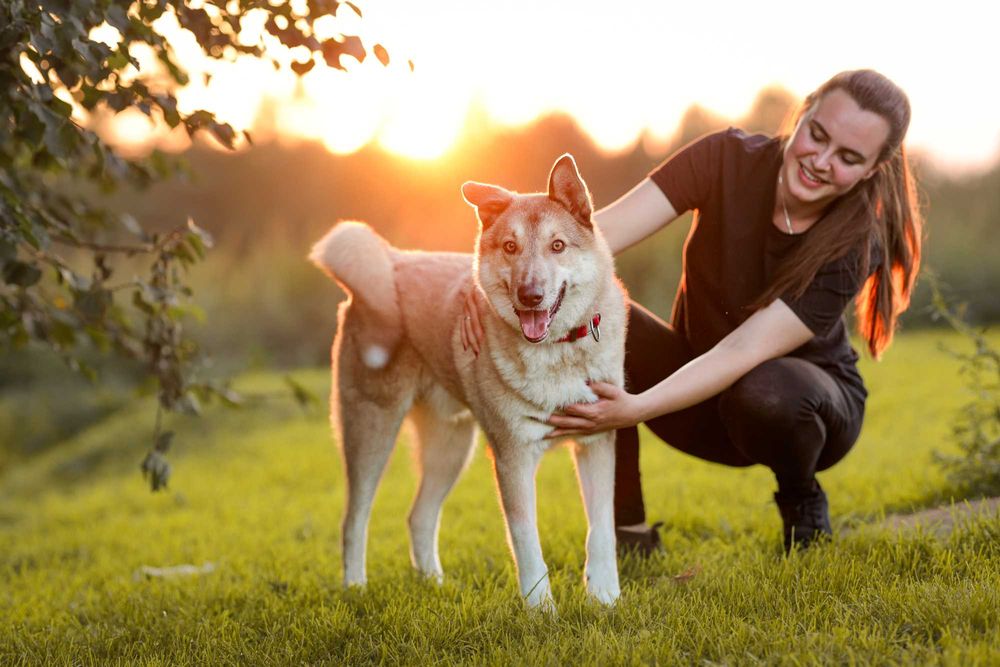 Logan poszukiwany nagroda 5000 zł