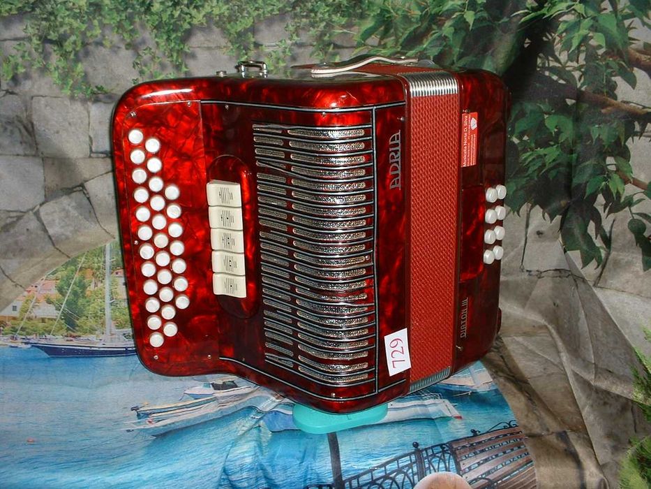 Concertina a venda n.729