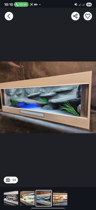 Terrarium promocja