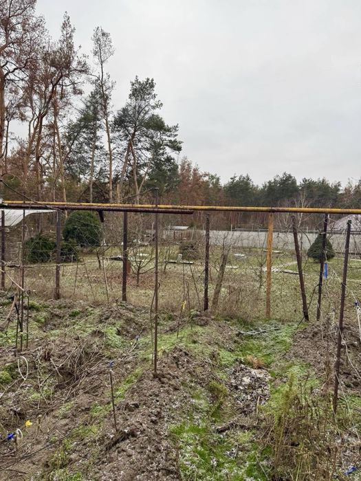 Будинок у лісі біля річки. Локація мрії між с.Пісчанка та с.Орловщина