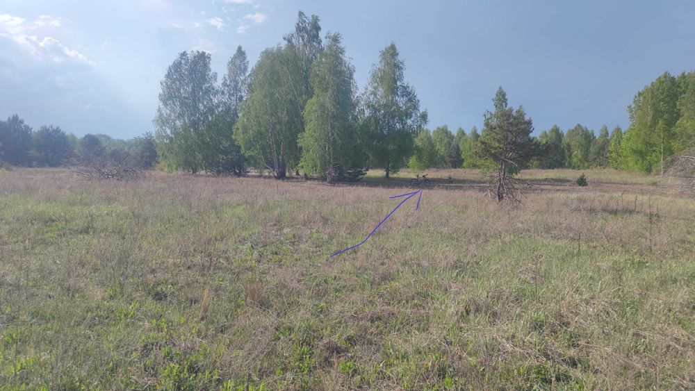 участок 11 соток, село Дружня