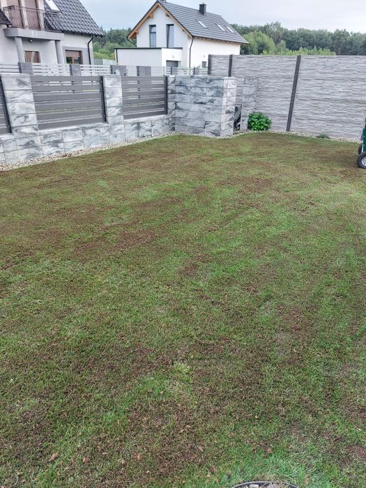 Aeracja z wykorkiem piaskowanie wertykulacja trawnikow