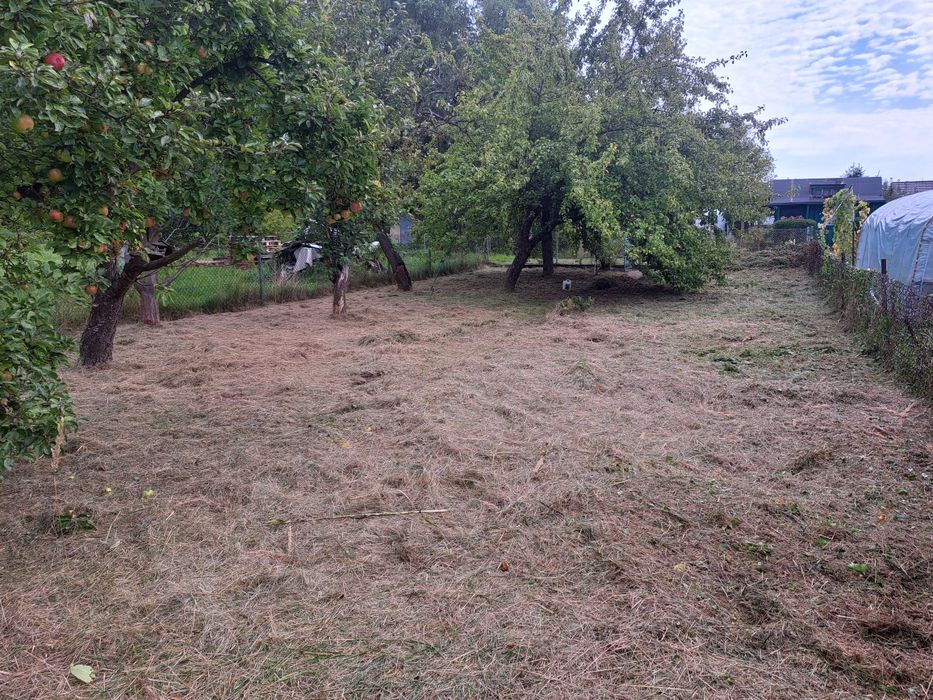 Odstąpię działkę ROD na Grobli 400m2