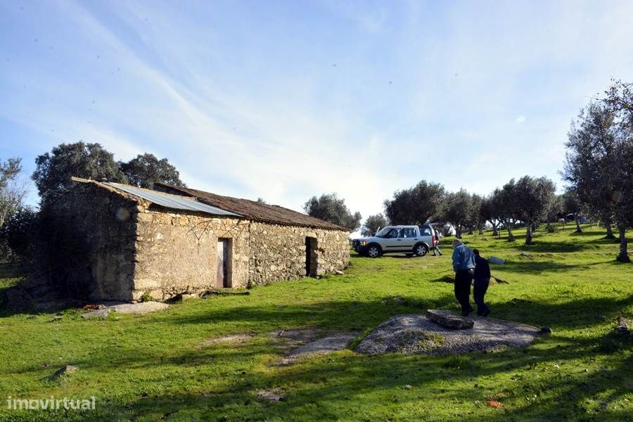 Herdade do Monte da Pedra.