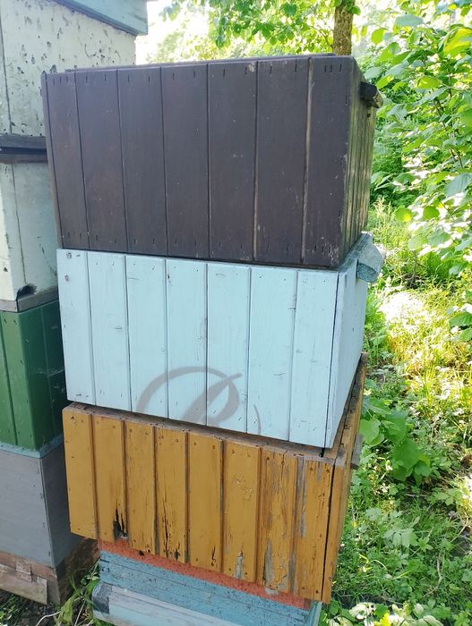 Sprzedam korpusy/ nadstawki Wielkopolskie