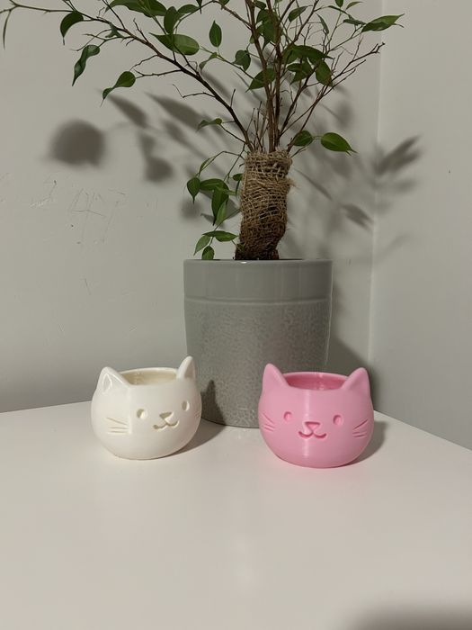 Vaso para suculentas