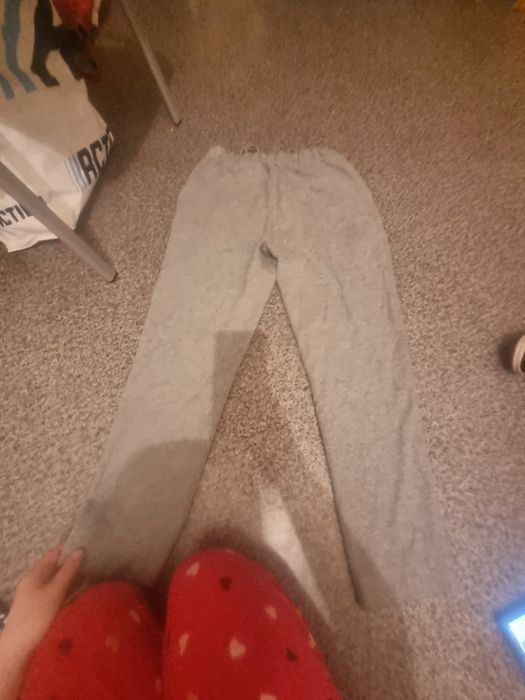 dresy szare bodajze l/xl