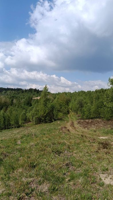 Земельна ділянка Новий Кропивик