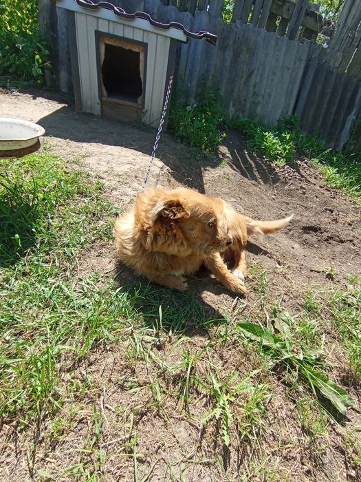 Маленький звоночек во двор!