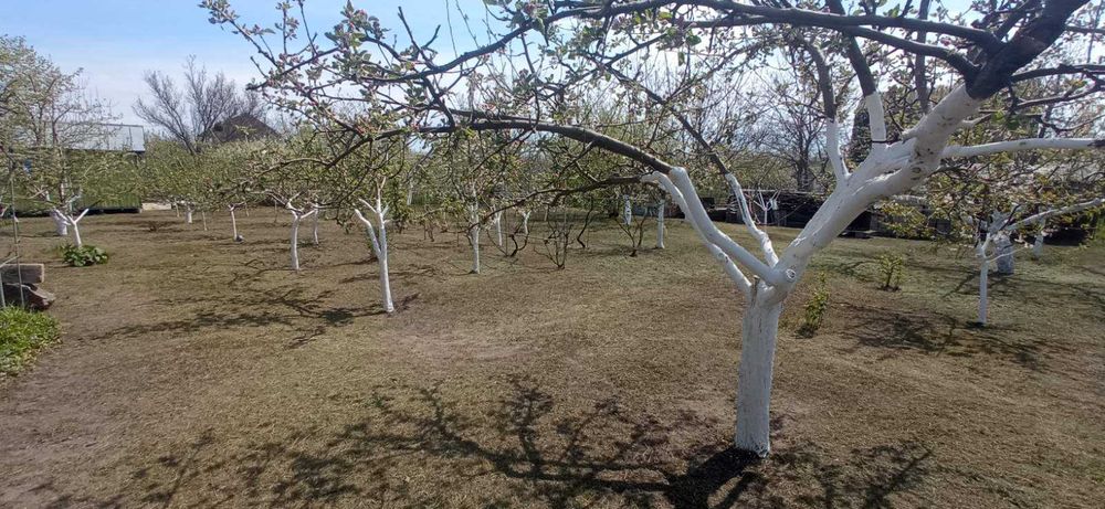 Продам дачний будинок в СТ Фотон