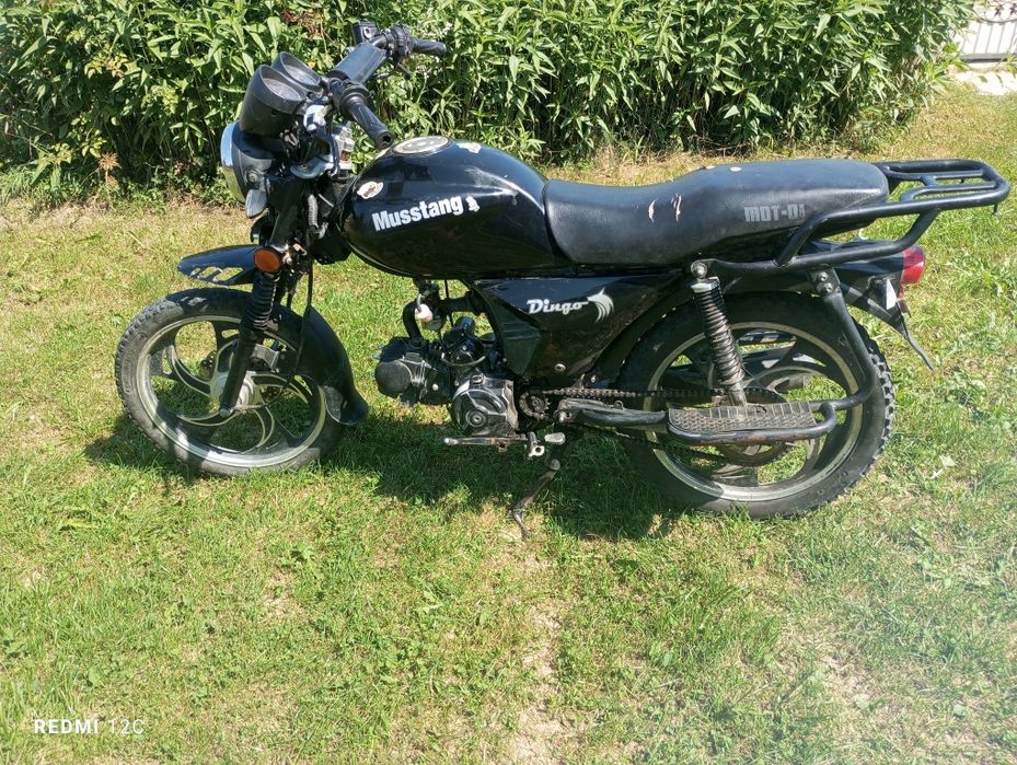 Мустанг дінго 125