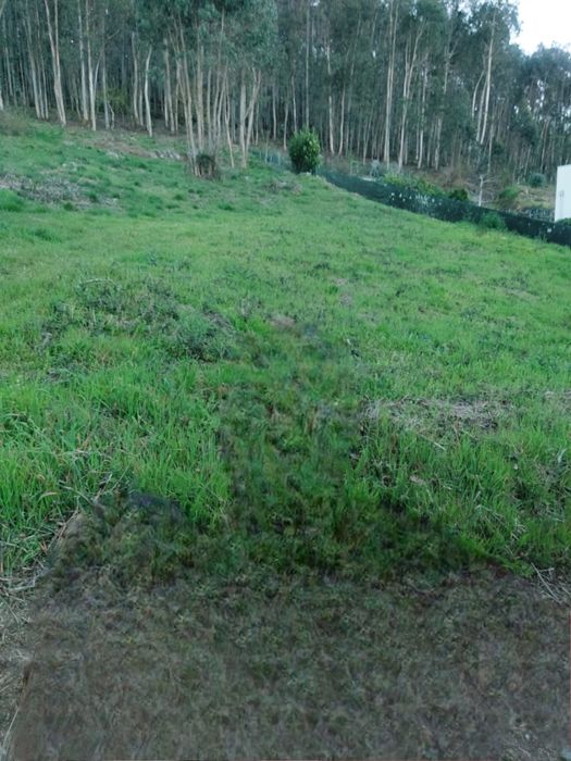 Give soil to remove64409255064194121