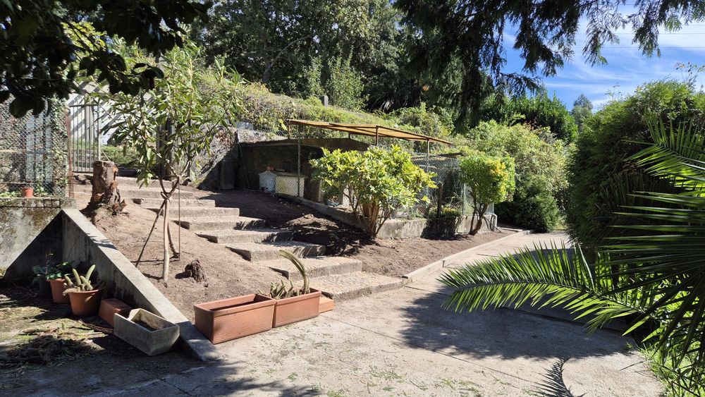 Serviços de Jardinagem, Limpezas Exteriores & Lavagem Auto