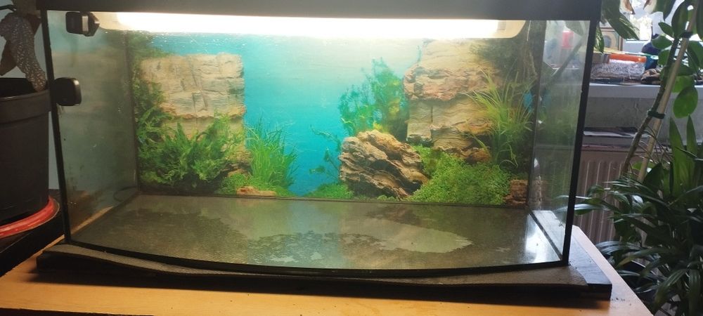 Akwarium panoramiczne z pokrywą 112l