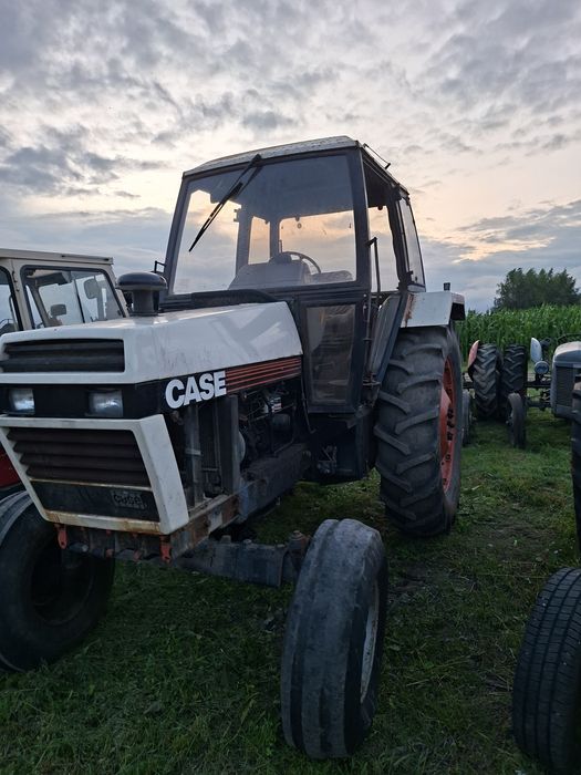 Case international 1490. David Brown