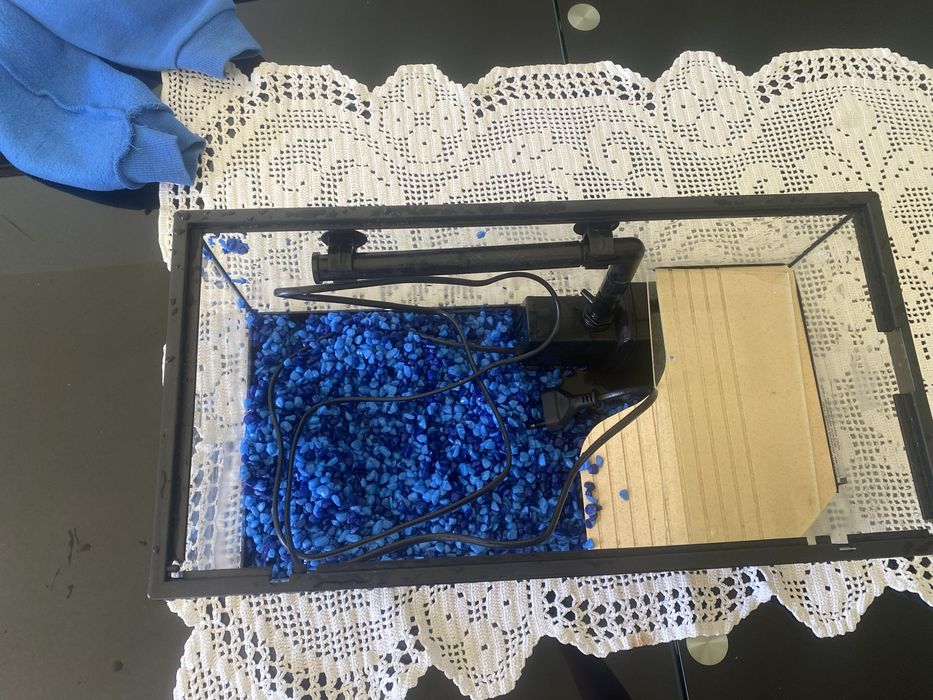 Aquaterrario para tartaruga