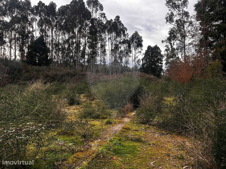 Terreno  para venda