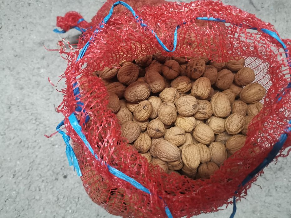 Nozes valor do kilo 4€