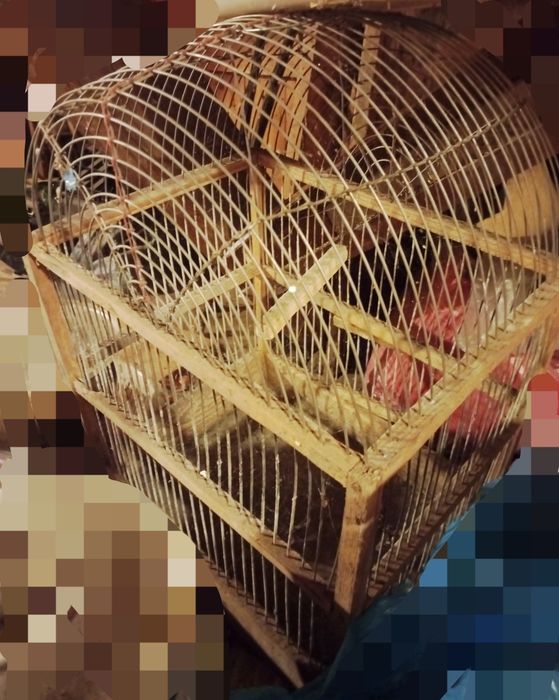 Клетки для птиц,хомяков — винтаж. Или для декора, интерьера