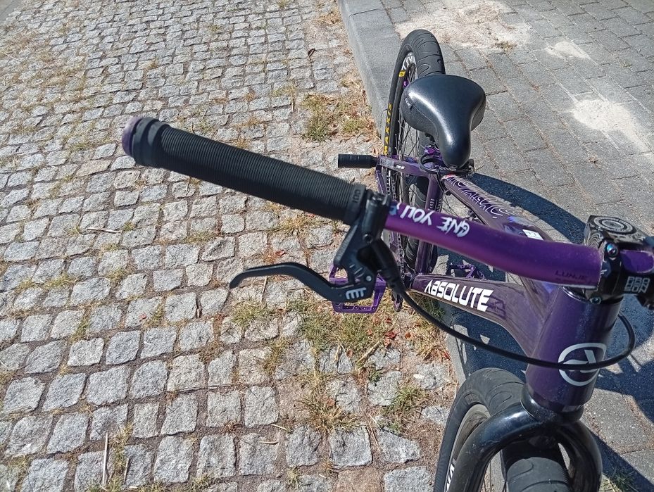 Absolute Brutus de grau