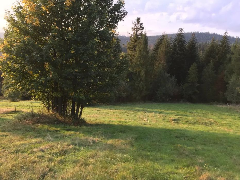 Działka wysoko w górach