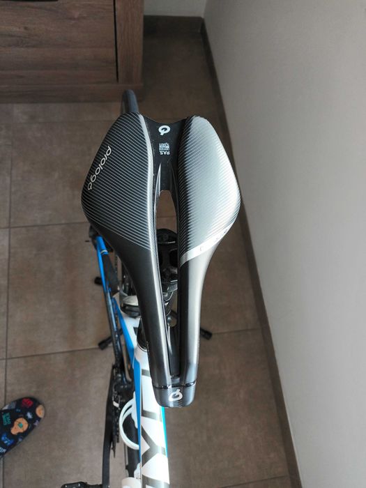 Bicicleta Focus Cayo 11v