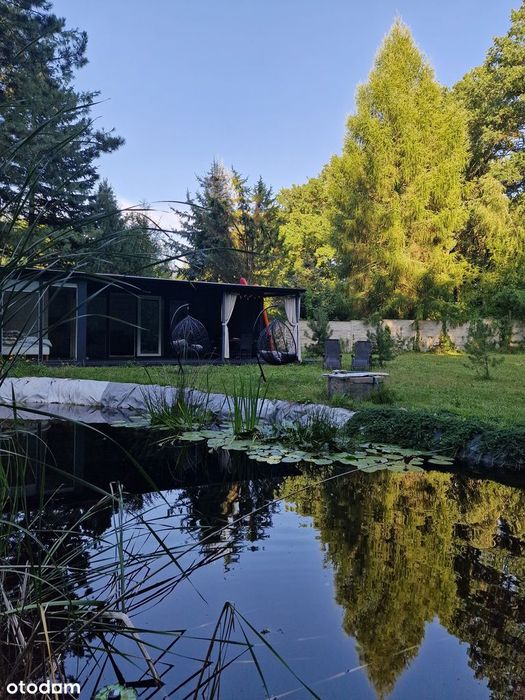 Dom nad dzikim jeziorem – 35 m² ciszy, lasu i szybkiego
internetu