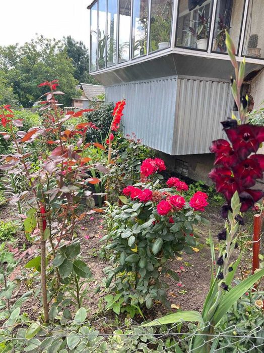 2-кімнатна з ремонтом, меблями і технікою — заїжджай і живи