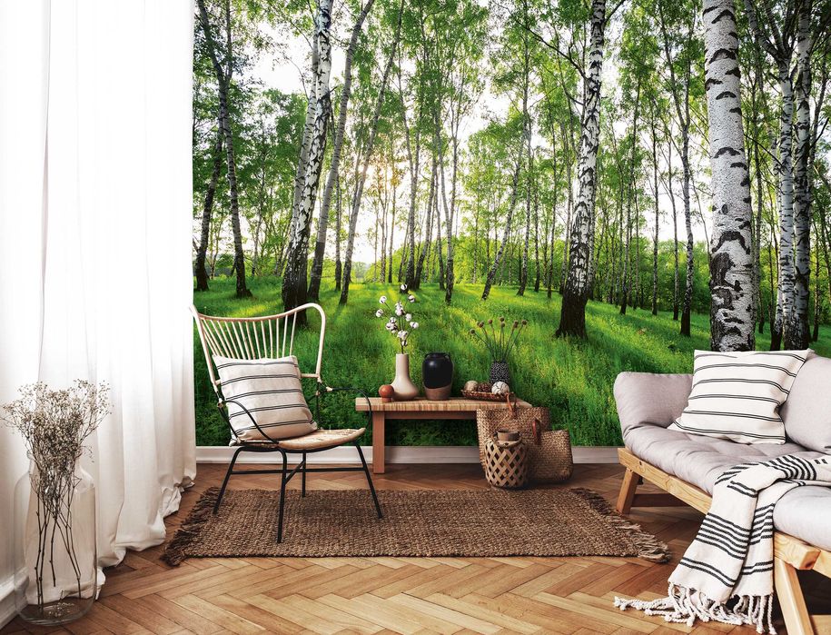 Fototapeta Las Brzozowy Natura Widok 3D Na Twój Własny Rozmiar + KLEJ