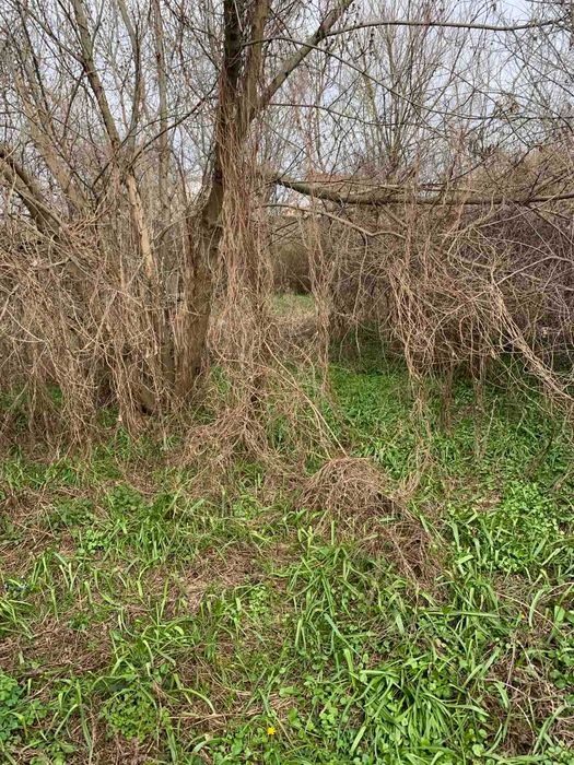 Круглик продам домик с участком