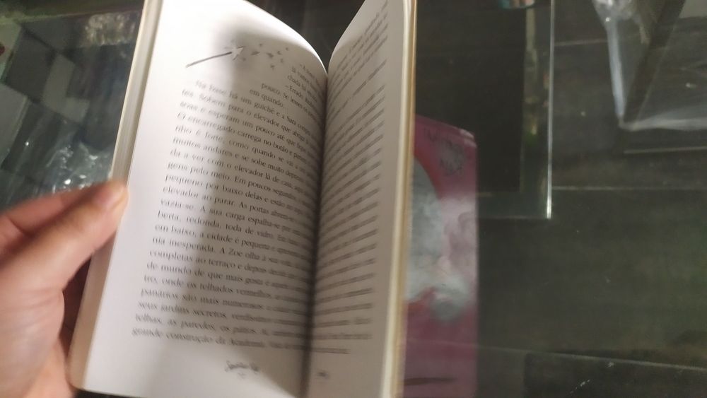 Livro sapatilhas rosa um tutu a mais