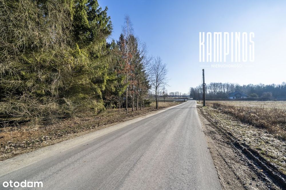 Przestrzeń, której szukasz! Działka 3980m² z WZ