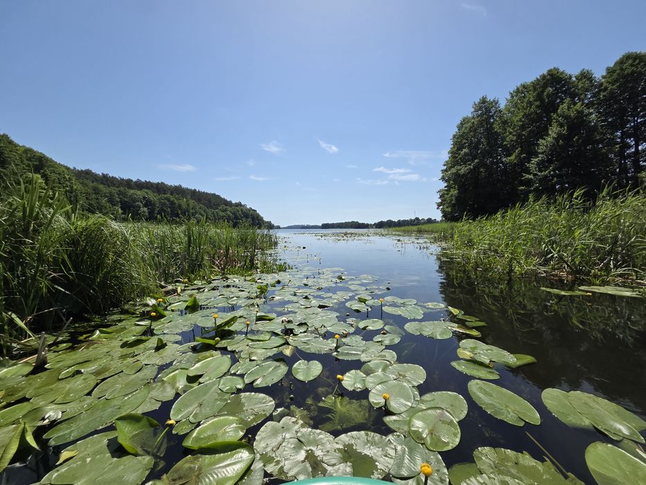 Dom nad Krutynią/Mazury