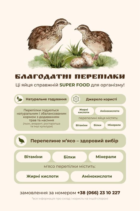 перепилині яйця (мʼясо перепилине)