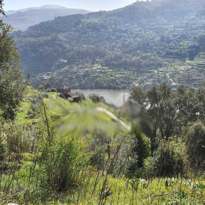 Casa para reconstrução em Baião Ancede Vistas Rio Douro