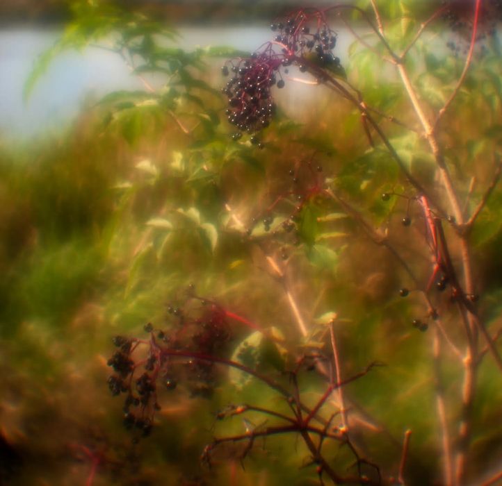 Монокль об'єктив для Canon,Nikon,Fuji,Sony,Pentax