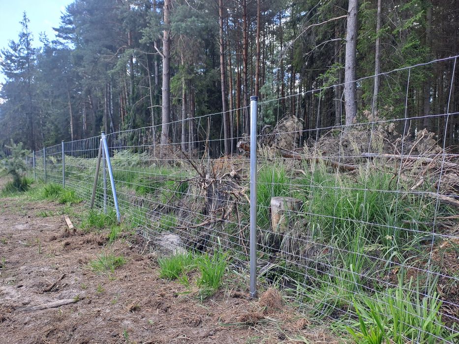 Montaż ogrodzeń z siatki leśnej-słupki ocynkowane