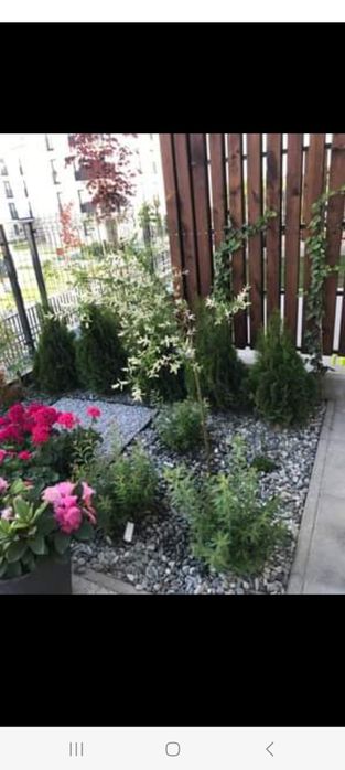 Kawalerka 30 m2 do wynajęcia