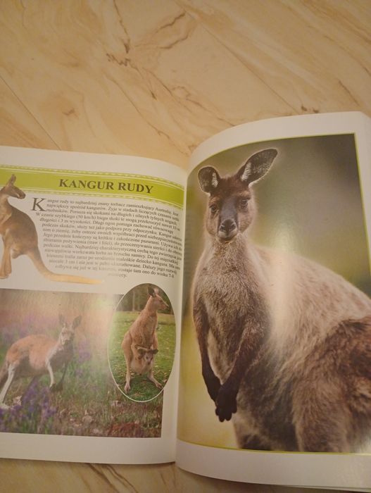 Encyklopedia zwierząt 650stron