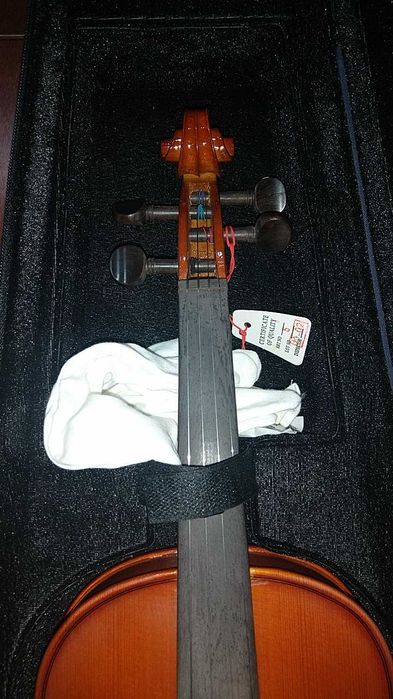 Violino com mala