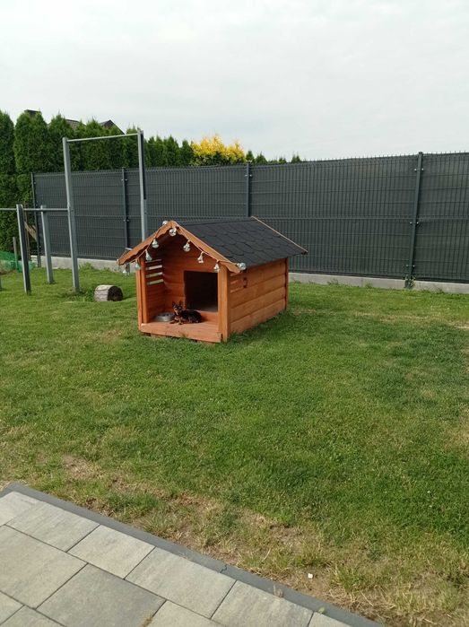 Buda dla dużego psa
