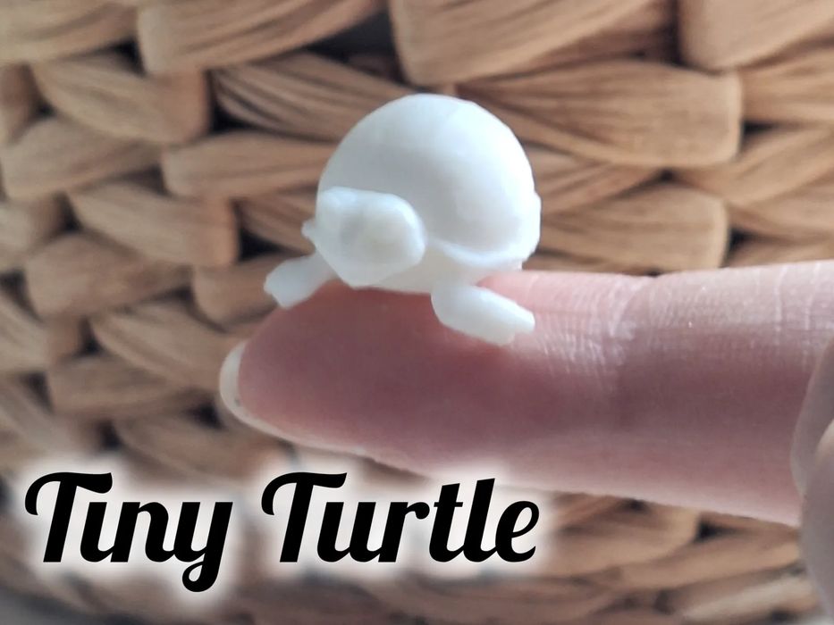 Cute and Delicate Miniature Turtle