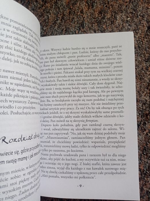 Kocurek stani Ben budar