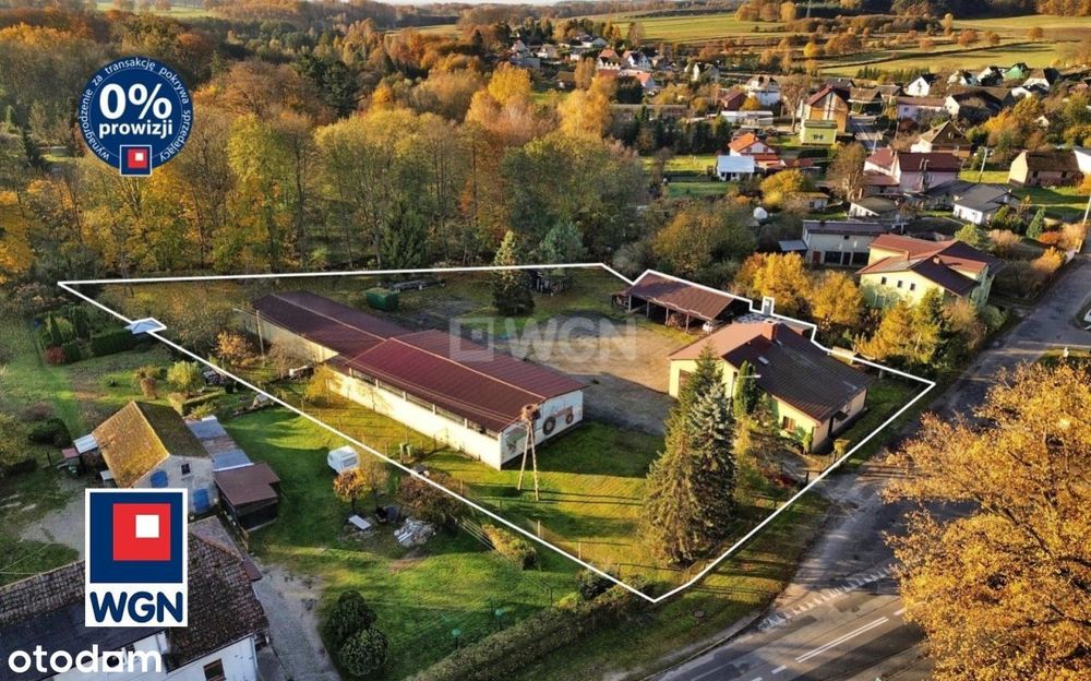 Dom, warsztat, hala mag., Barcino, działka 5000m2