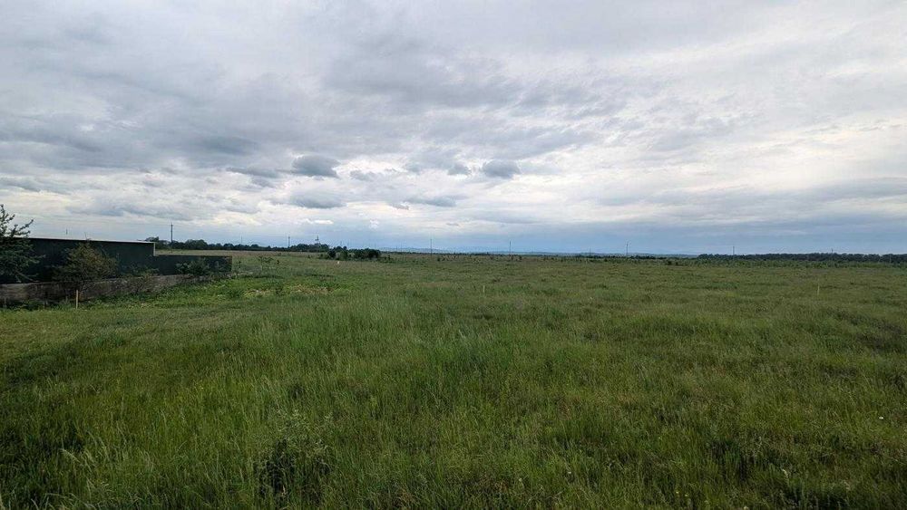 Продається ділянка 25 сот під будівництво в с. Камінне (12)